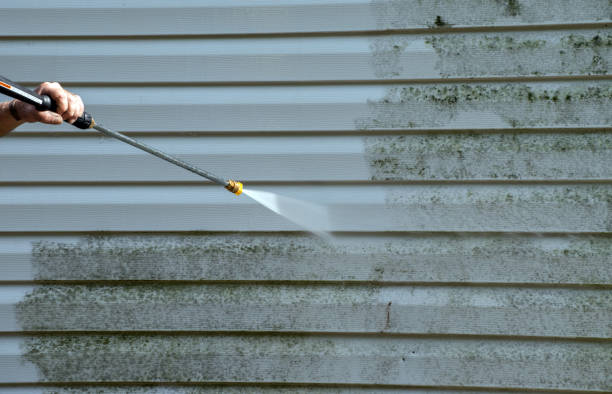 Best Exterior Home Cleaning  in Ely, NV
