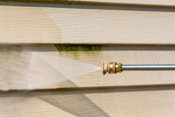 Best Sidewalk Pressure Washing  in Ely, NV