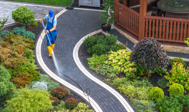 Best Pressure Washing Company Near Me  in Ely, NV